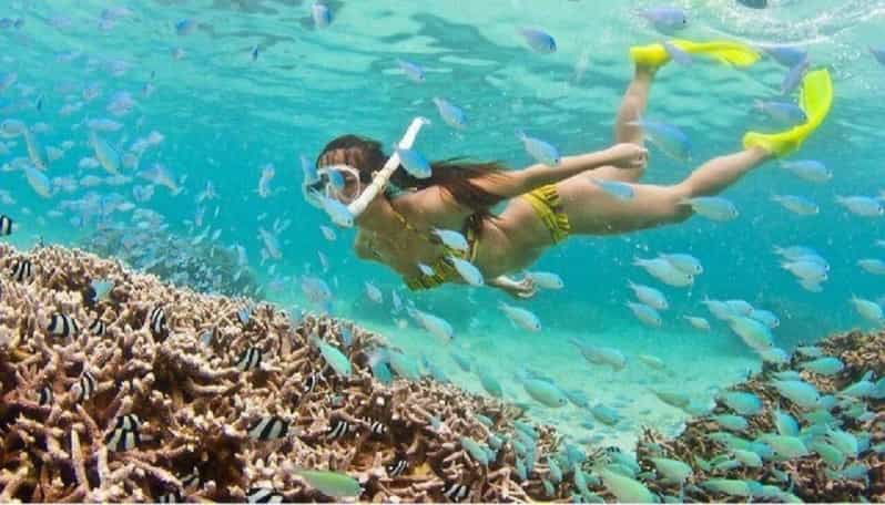 Hoi An: Cham Islands Snorkeling Trip by Speedboat With Lunch - Itinerary Highlights