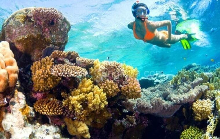 Hoi An: Cham Islands Snorkeling Trip by Speedboat With Lunch - Inclusions