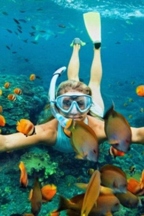 Hoi An: Cham Islands Snorkeling Trip by Speedboat With Lunch - Frequently Asked Questions
