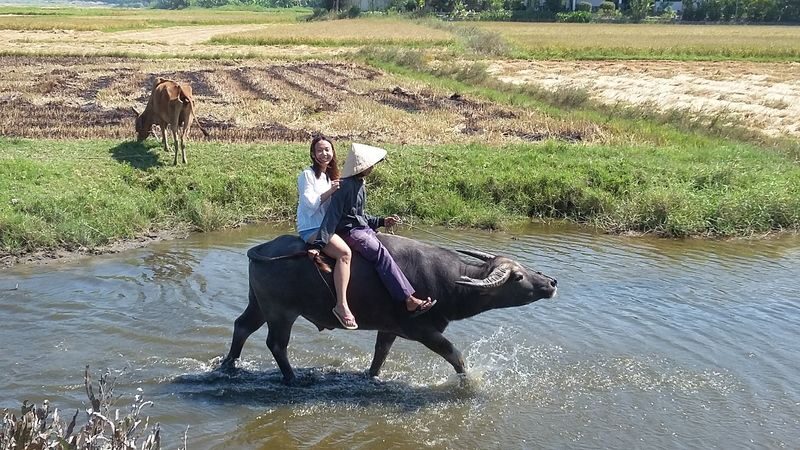 Hoi An City and Countryside Tour - Four ways to see Hoi An