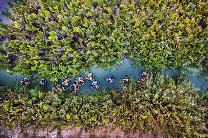 Hoi An City Day Tours - Professional Guide and Bike Ride