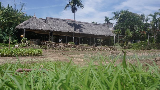 Hoi an Cooking Class - What to Expect