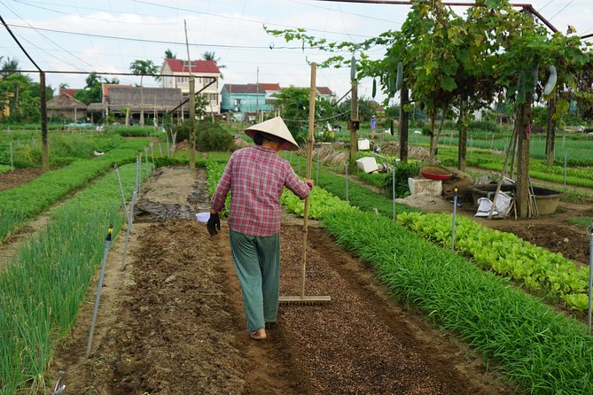 Hoi an Cooking Class - Tour Highlights