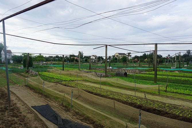 Hoi an Cooking Class - Cancellation Policy