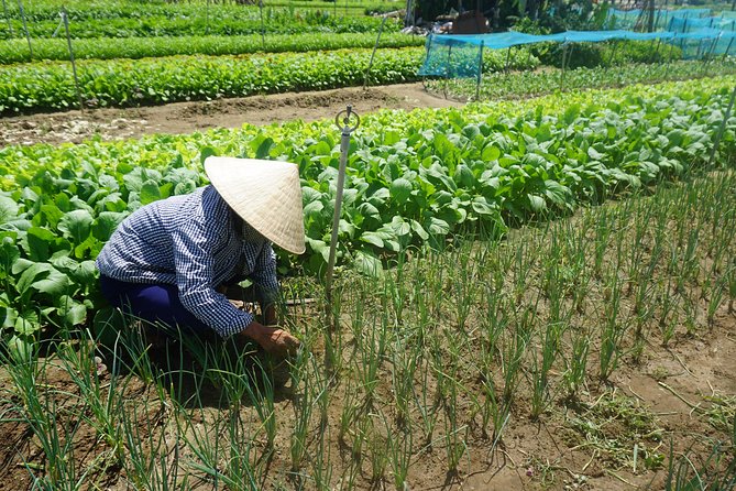 Hoi an Cooking Class - Weather Policy and Tour Availability