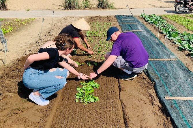 Hoi An Cooking Class at Tra Que Vegetable Village - Questions and Pricing Information