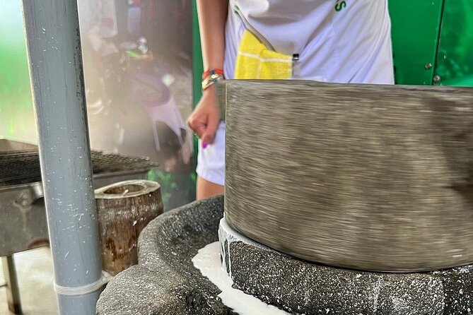Hoi an Cooking Class With Basket Boat Tour - Tips for a Memorable Cooking Class Experience