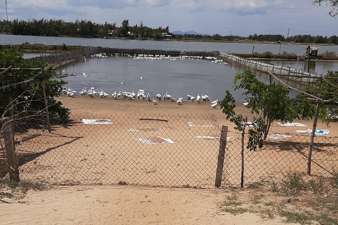 HOI AN COUNTRYSIDE ADVENTURE BY JEEP - Private Tour - Scenic Beauty of Hoi An Countryside