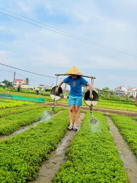 Hoi An Countryside & Ancient Town With Lunch Private Tour - Inclusions