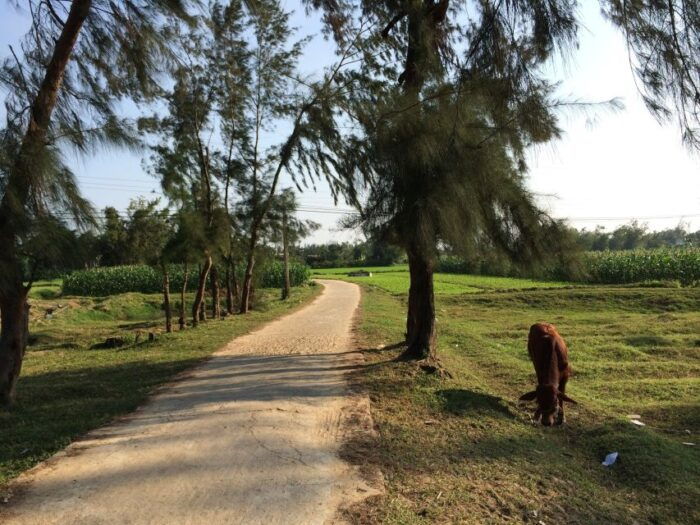 Hoi An: Countryside Bike Tour to Kim Bong Village - Frequently Asked Questions