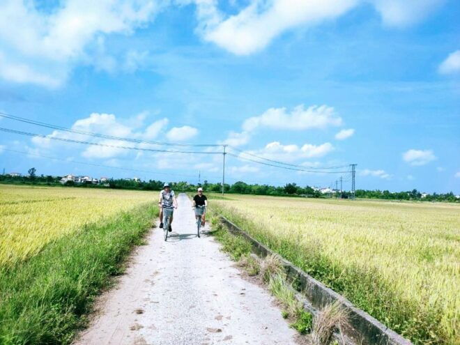 Hoi An Countryside Biking Tour - Full Experience Description