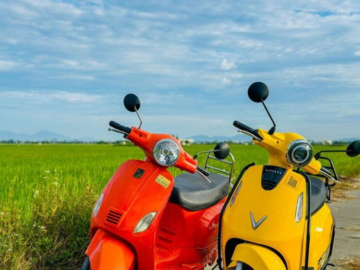 Hoi An Countryside by Electric Scooter - Experience Highlights