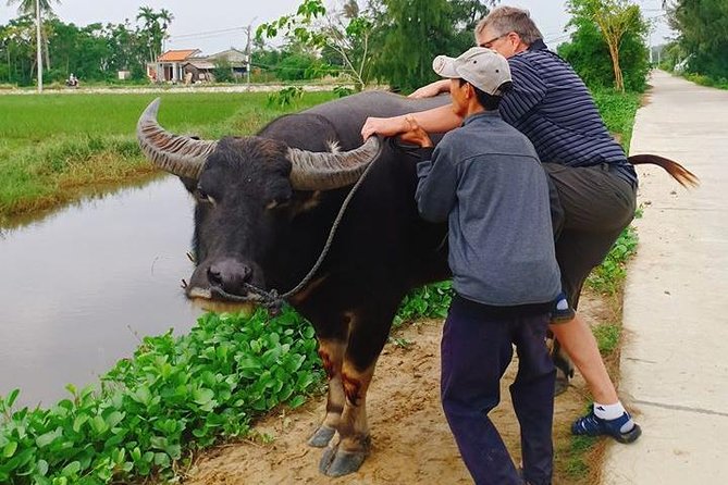 Hoi An Countryside & Cultural Gallery Ethnic Group - Private Tour - Authentic Cuisine Tastings