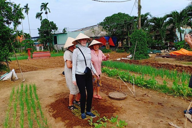 Hoi An Countryside & Cultural Gallery Ethnic Group - Private Tour - Scenic Countryside Landscapes