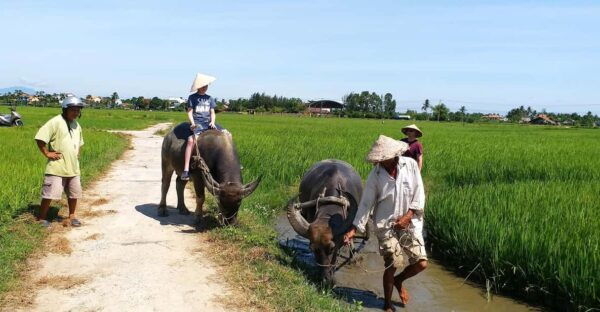 Hoi An Countryside Cycling Adventure - Private Exploration - Important Considerations