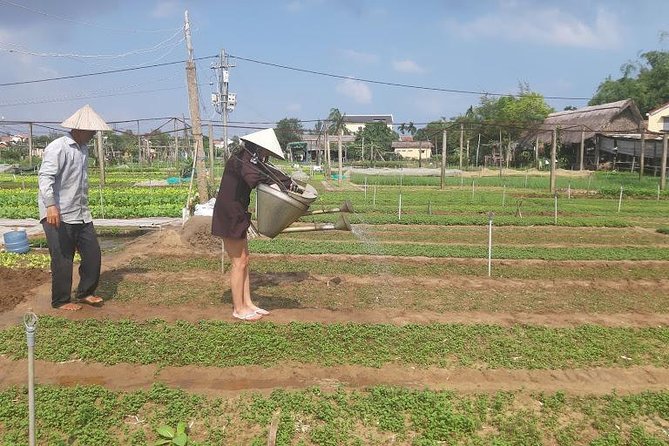 Hoi an Countryside Tour by Cycling, Motorbike or Car - The Sum Up
