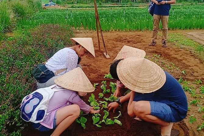 Hoi an Countryside Tour With 3 Local Villages by Army Jeep or Private Car - The Sum Up