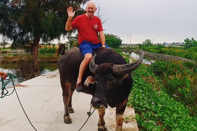 Hoi an Countryside Tour With Bamboo Basket Boat Rowing , Buffalo Ride, Farming - Cancellation Policy