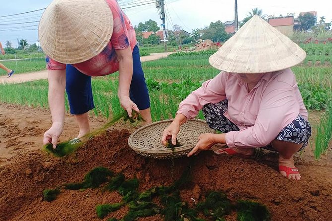 Hoi an Countryside Tour With Bamboo Basket Boat Rowing , Buffalo Ride, Farming - Pricing and Booking