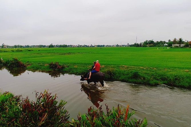 Hoi an Countryside Tour With Bamboo Basket Boat Rowing , Buffalo Ride, Farming - Copyright Notice