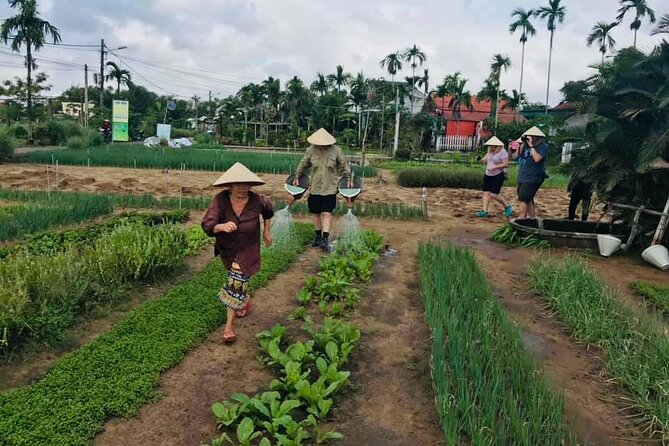 Hoi an Countryside Tours With Local Villages and Lunch - The Sum Up