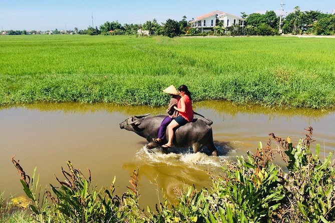 Hoi An Countrysides Discovery Private Tour - Itinerary Overview