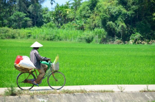 Hoi An: Cycling to My Son Holy Land - Common Questions