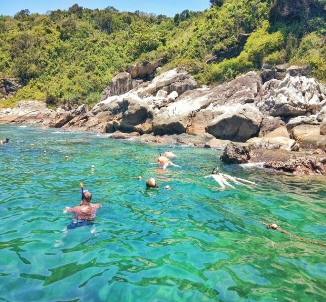 Hoi An/Da Nang: Cham Island Daily Tour With Snorkeling - Cultural Exploration