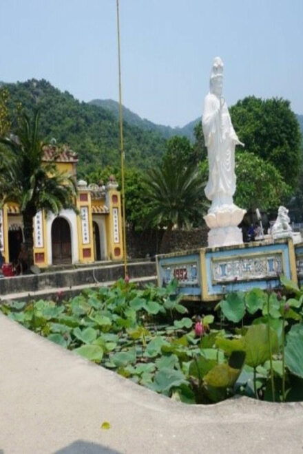 Hoi An/Da Nang: Cham Island Daily Tour With Snorkeling - Inclusions for Tour