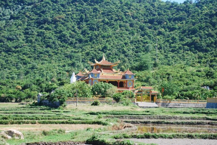 Hoi An/ Da Nang: Cham Island Discovery Tour - Important Information