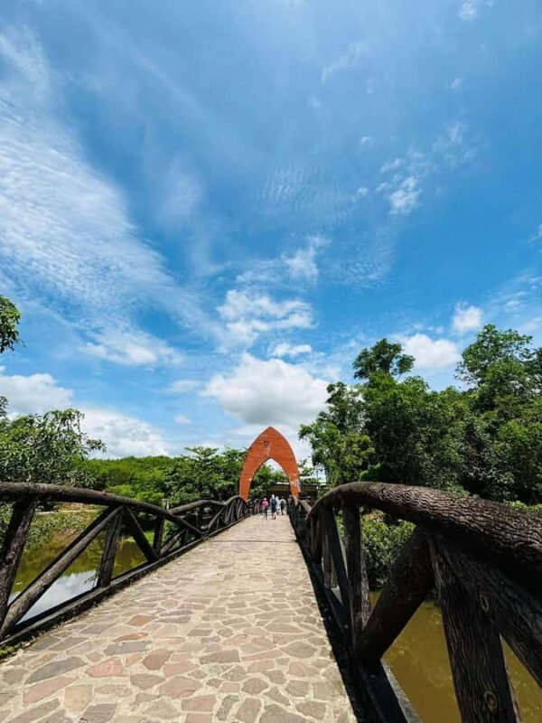 Hoi An/Da Nang: My Son Sanctuary Guided Trip & Thu Bon River - What to Expect from the Tour