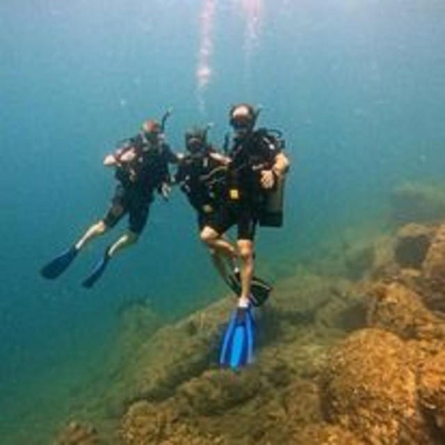 Hoi An /Da Nang Snorkelling Trips - Experience Highlights
