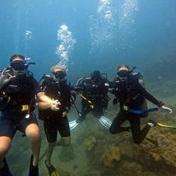 Hoi An /Da Nang Snorkelling Trips - Booking and Cancellation Policies