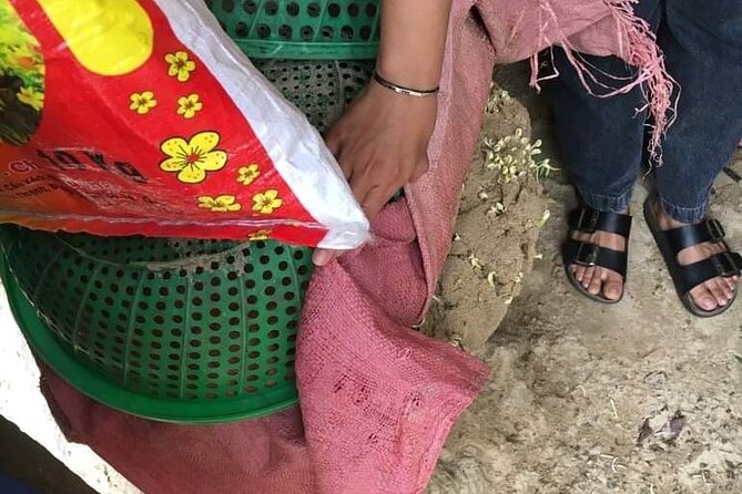 Hoi An Diverse Food Tour - Best Restaurants in Hoi An