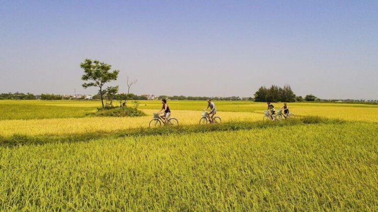 Hoi An Eco Bicycle Tour - Good To Know