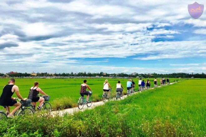 Hoi An Eco Bicycle Tour - Important Tour Information