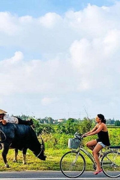 Hoi An Eco Bicycle Tour - Dietary Options Available