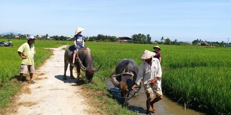 Hoi An : Eco Farming Bicycle Tour and Basket Boat Ride - Good To Know