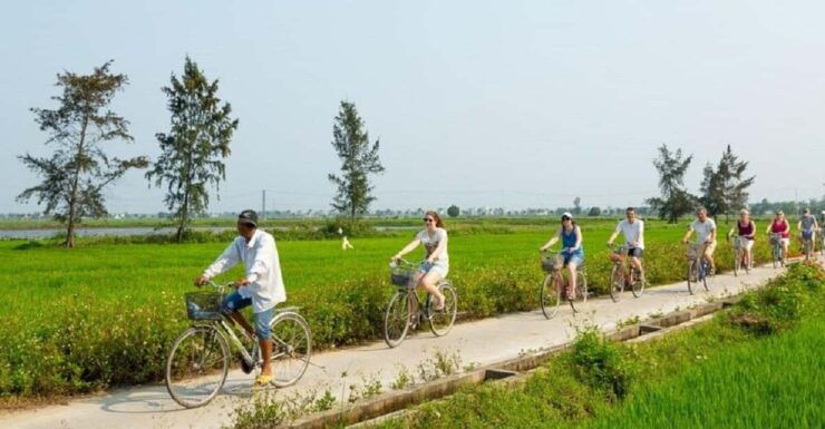 Hoi An : Eco Farming Bicycle Tour and Basket Boat Ride - Itinerary Highlights