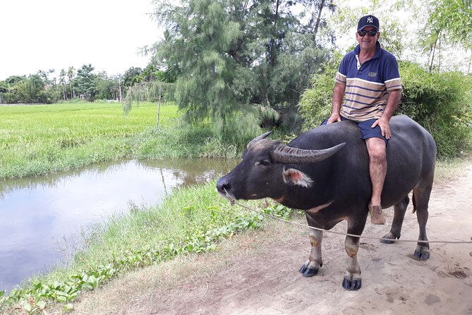 Hoi an Eco Tour: Biking, Basket Boat, Buffalo, Farming, Foods - The Sum Up