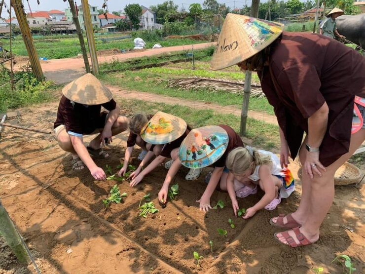 Hoi an - Eco-Tour, Farming, Cooking Class, and Foot Massage - Good To Know