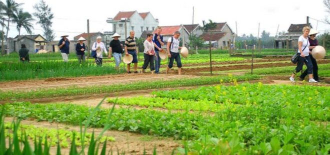 Hoi An: Evening Cooking Class in Tra Que Herbs Village - Customer Reviews