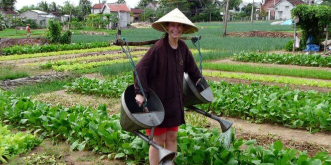 Hoi An: Evening Cooking Class With Locals in Herbs Village - Authentic Culinary Experience in Herbs Village