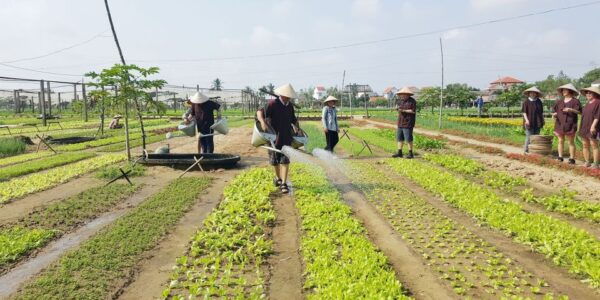 Hoi An: Evening Cooking Class With Locals in Herbs Village - Convenient Payment Options