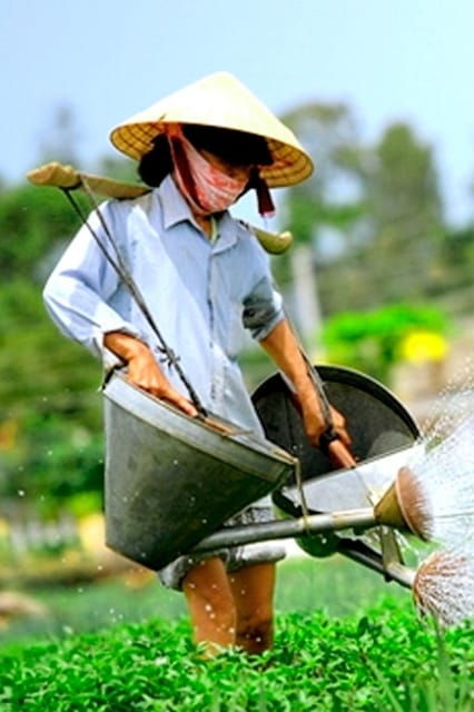 Hoi An: Evening Traditional Cooking Class With Local Chef - Booking Process