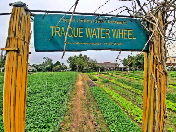 Hoi An: Explore Countryside By Bike - Private Tour - Important Information