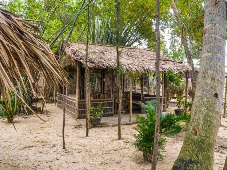 Hoi An: Family Home Cooking Class, River Cruise & Bike Tour - Tour Highlights