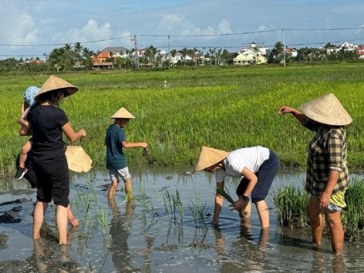 Hoi An: Farming and Fishing Life Village Tour by Bicycle - Experience Highlights