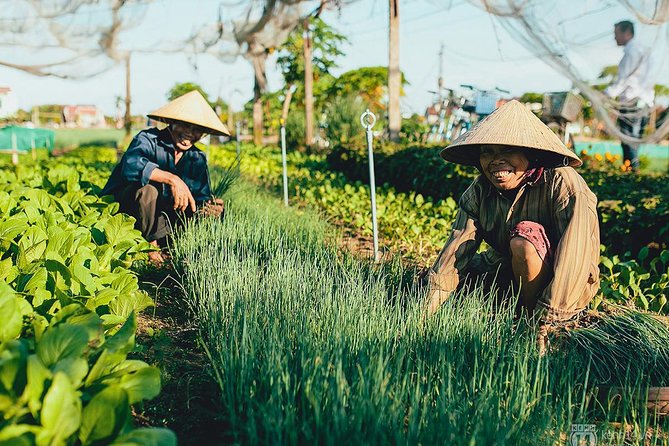 Hoi an Fish & Rice Full Day Tour - Visit Tra Que Vegetable Village & Cam Thanh - Exploring Cam Thanh