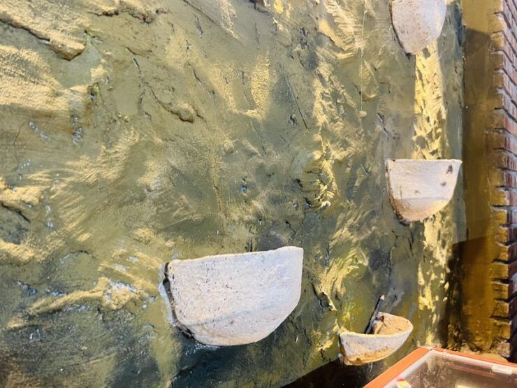 Hoi An: Full-Day Countryside Tour With Boat Trip and Lunch - Tour Duration and Itinerary